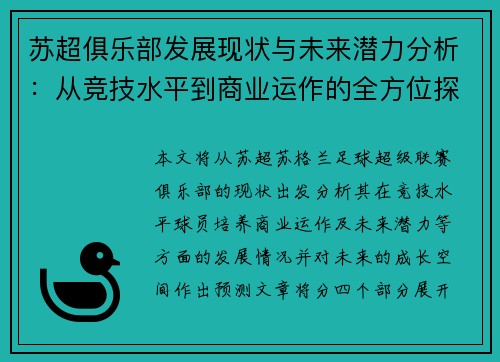 苏超俱乐部发展现状与未来潜力分析：从竞技水平到商业运作的全方位探讨