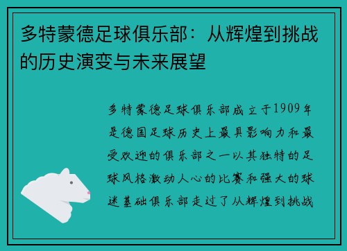 多特蒙德足球俱乐部：从辉煌到挑战的历史演变与未来展望